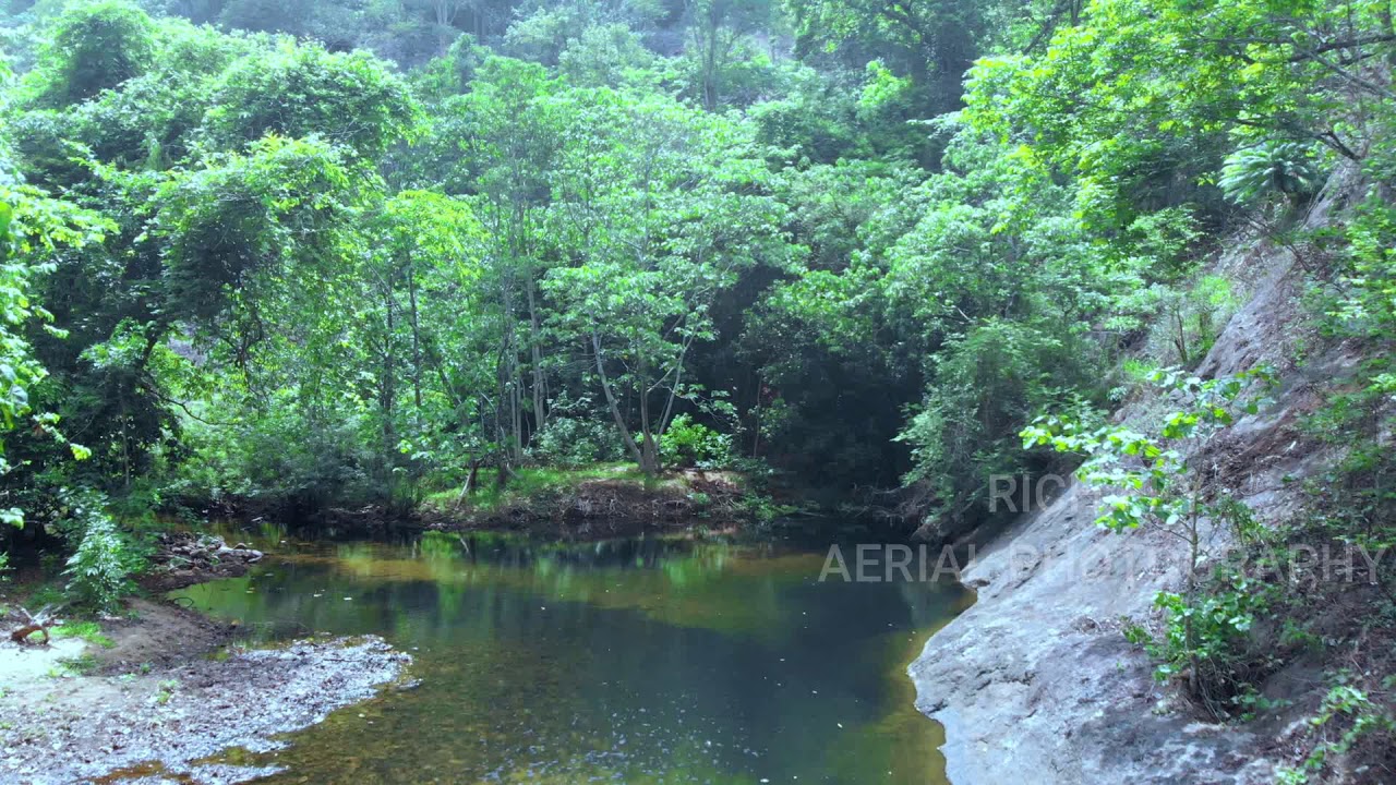 KERALA | FOREST DRONE SHOTS