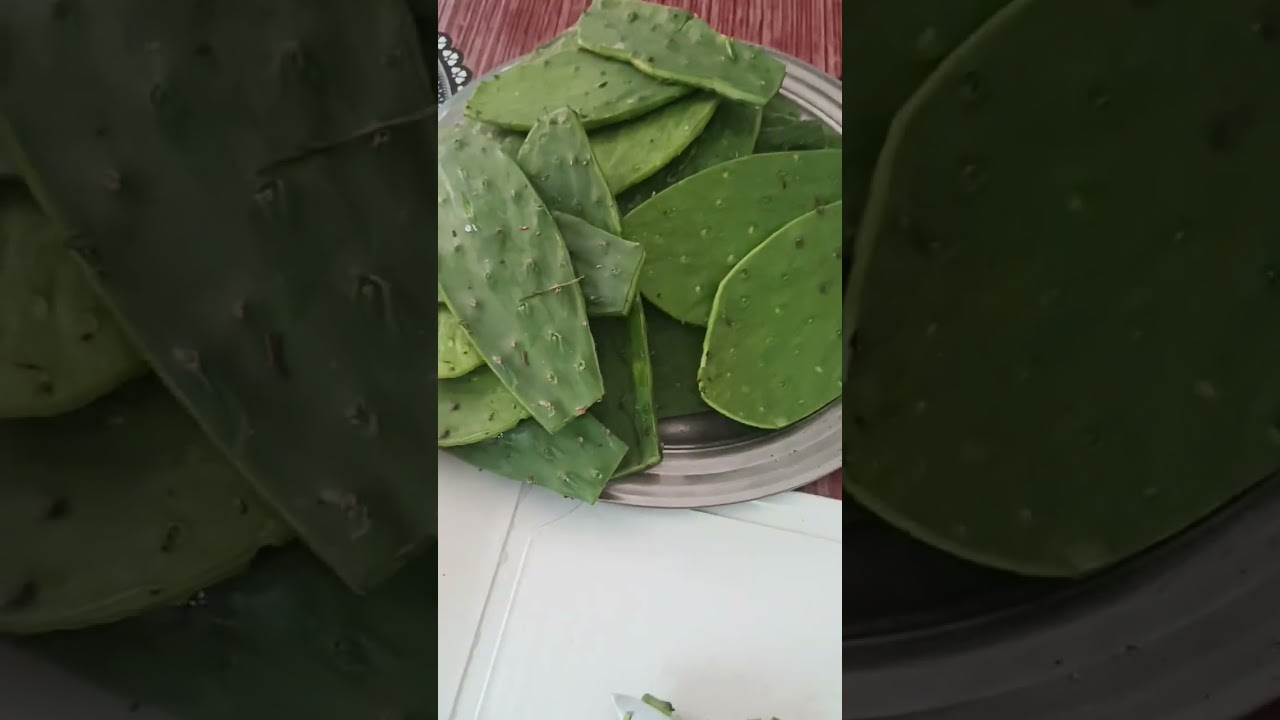 Cortando de palma 🌵,muito saboroso e fácil de fazer. você conhece ? 