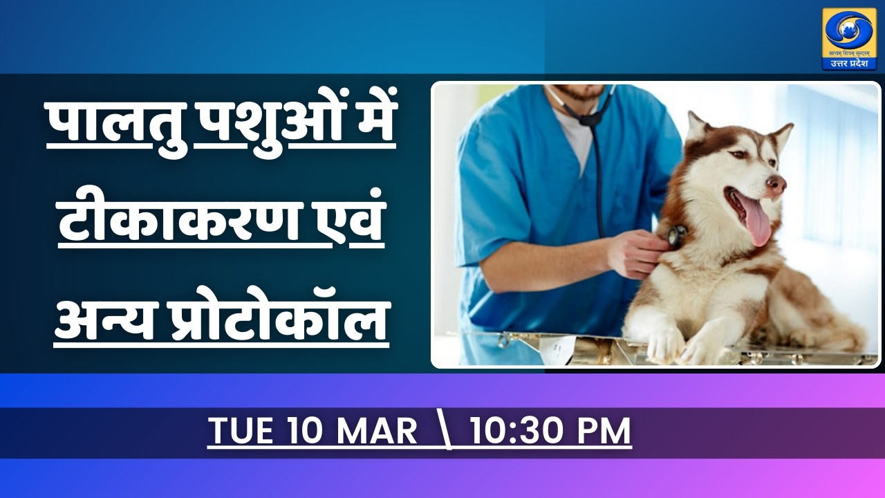 🔴पालतु पशुओं में टीकाकरण एवं अन्य प्रोटोकॉल -  यू.पी. के शहरों से (PGF- बरेली) - 10:30 PM | DDUP
