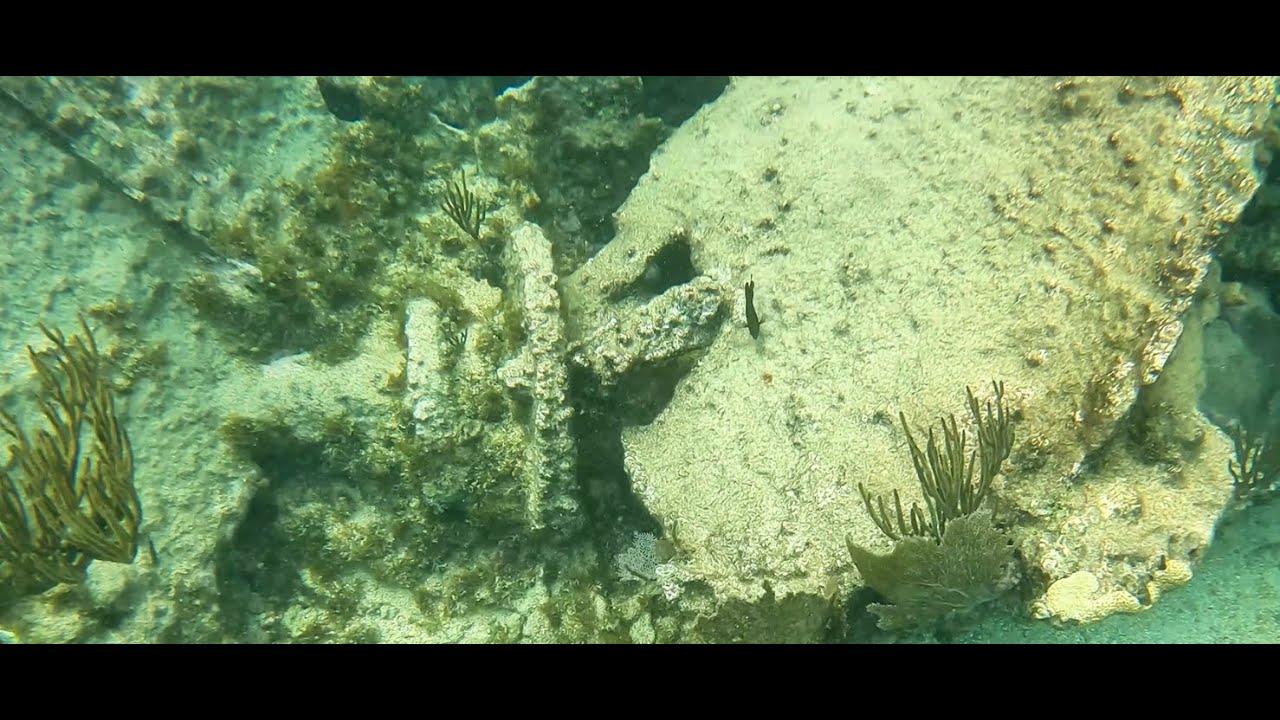 Snorkeling the Snyg Shipwreck  |  Historic Steamship Wreck at Pristine Bay  | Roatán, Honduras 4K