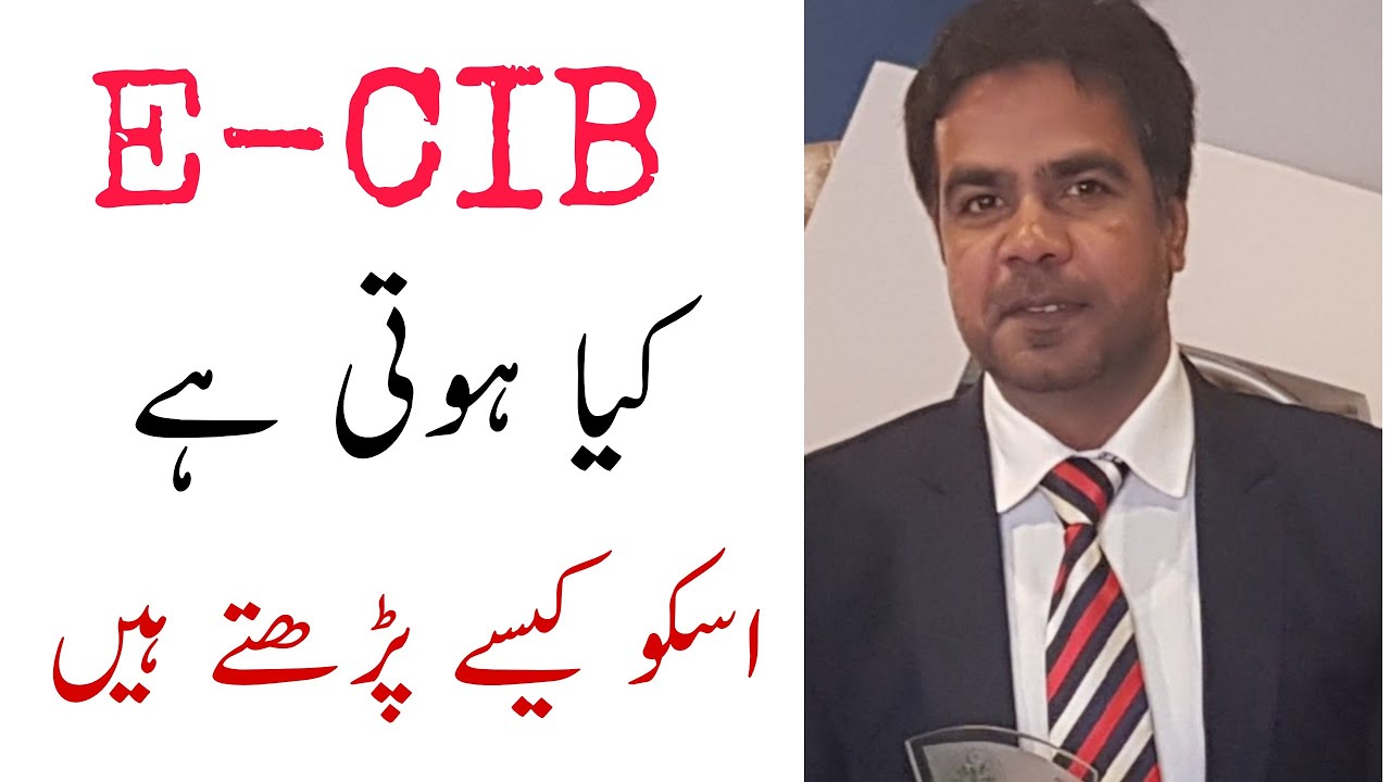 Concept about eCIB reports|What is eCIB reports| |Consumer Credit Information report |