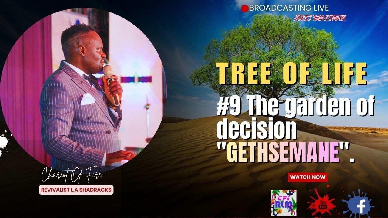SERMON: TREE OF LIFE#9 The garden of decision 