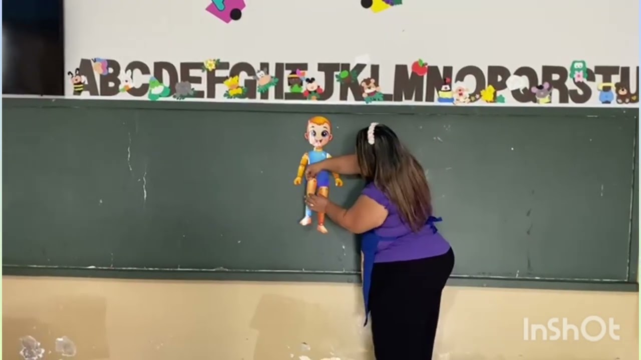 Corpo humano: cabeça, tronco e membros. 