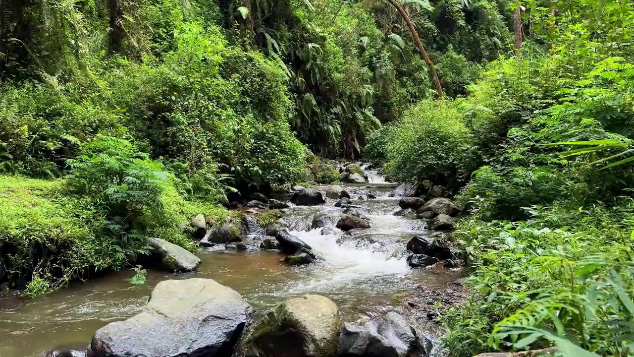 Soft river sound in calm peaceful woodland air helping your mind rest in deeper deep sleep
