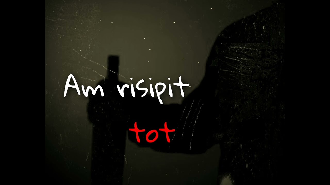 Am risipit 