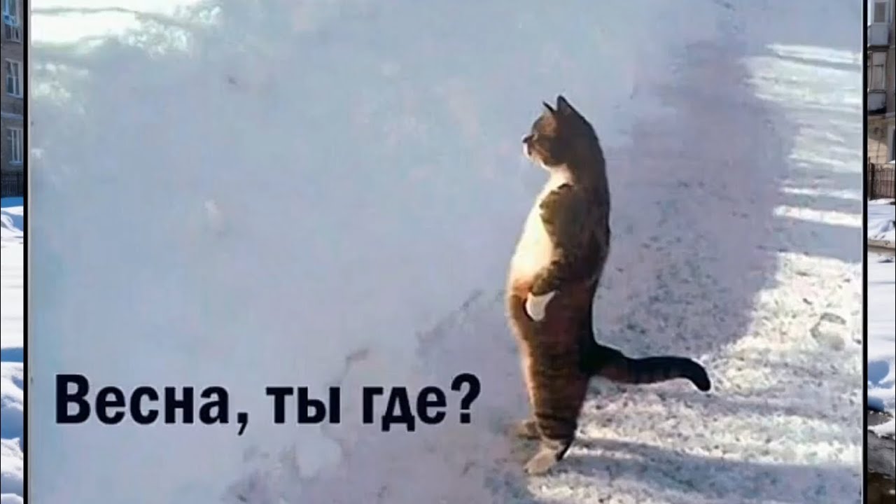 Март ты где? Я тебя не вижу! 🤣