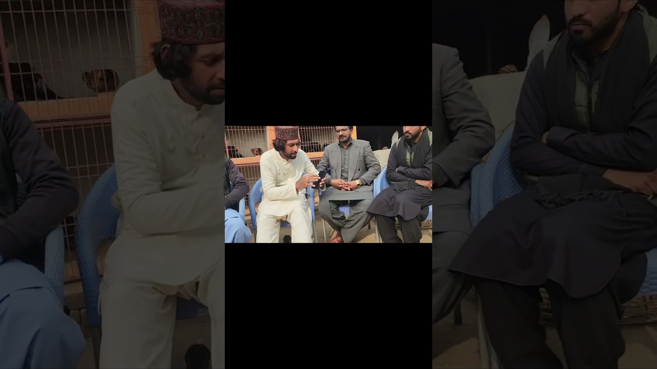 Gift announcement from Sajjad Mazhari 