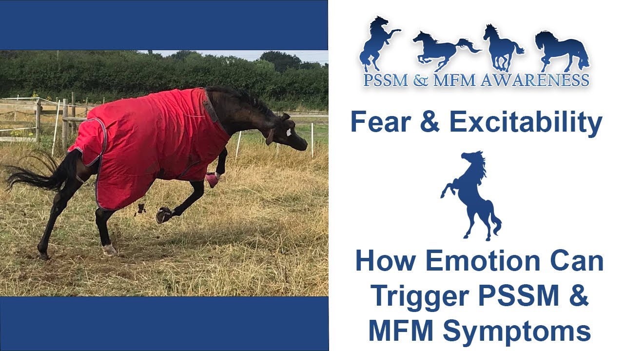 Fear & Excitability- How Emotion Can Trigger PSSM Symptoms