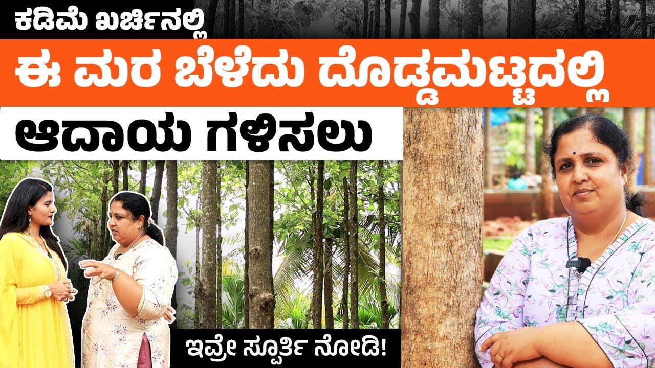 ಈ ಮರ ಬೆಳೆದರೆ ದೊಡ್ಡಮಟ್ಟದಲ್ಲಿ ಲಾಭ ಗ್ಯಾರಂಟಿ | Teak Wood Farming in Kannada