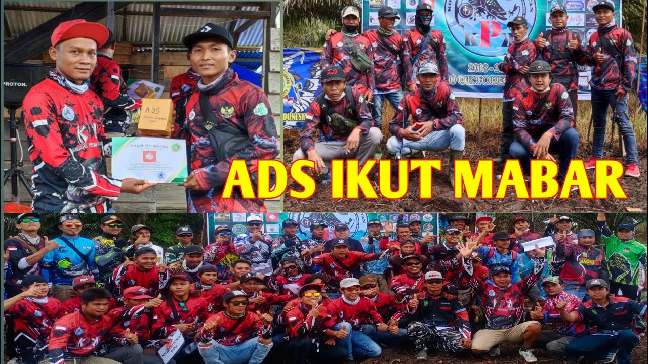 MABAR CASTING IKAN GABUS IKAN BUJUK IKAN TOMAN DI KERUMUTAN
