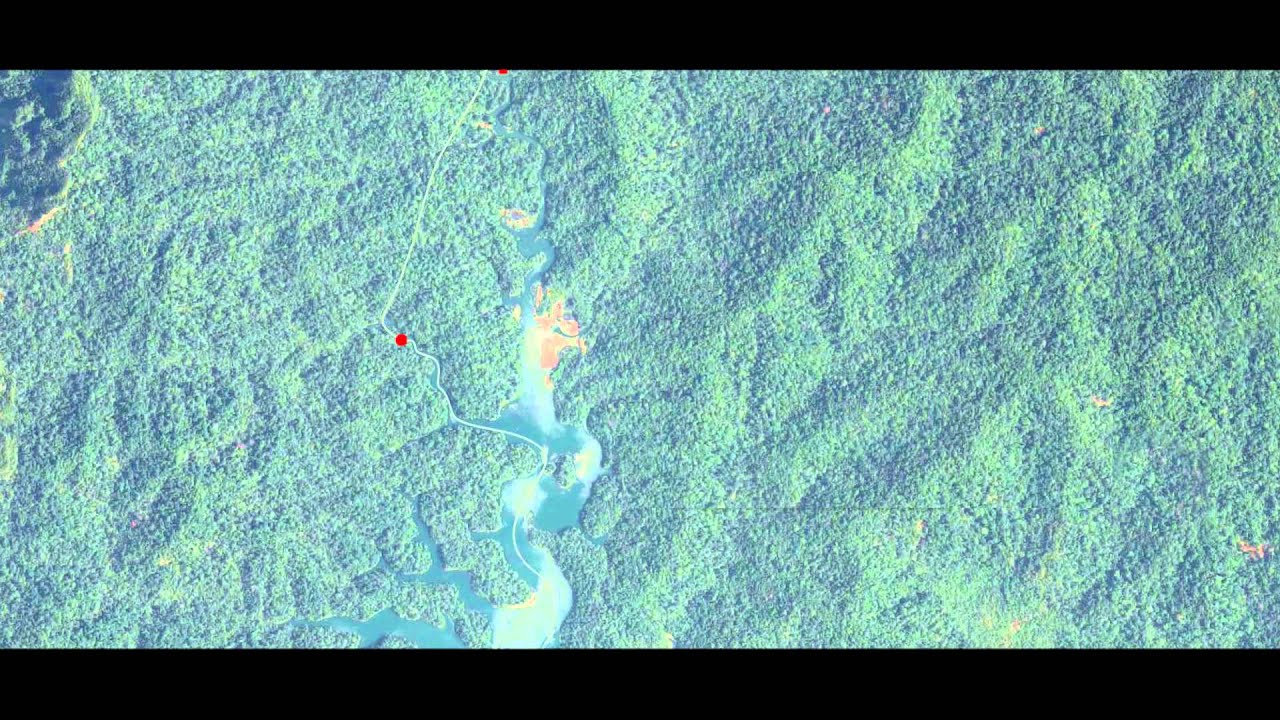 Camera Trap Video - Capture the moment