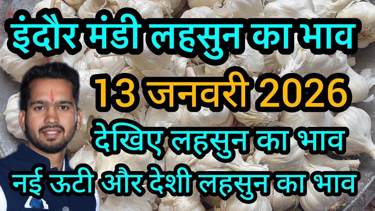 13 January 2026 indore mandi lahsun ka bhav 