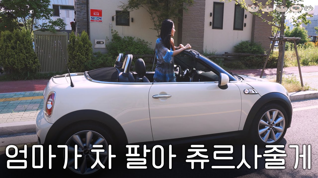 차 팔아 츄르 산 집사입니다 | 이동수단을 츄르로 환전한 집사…