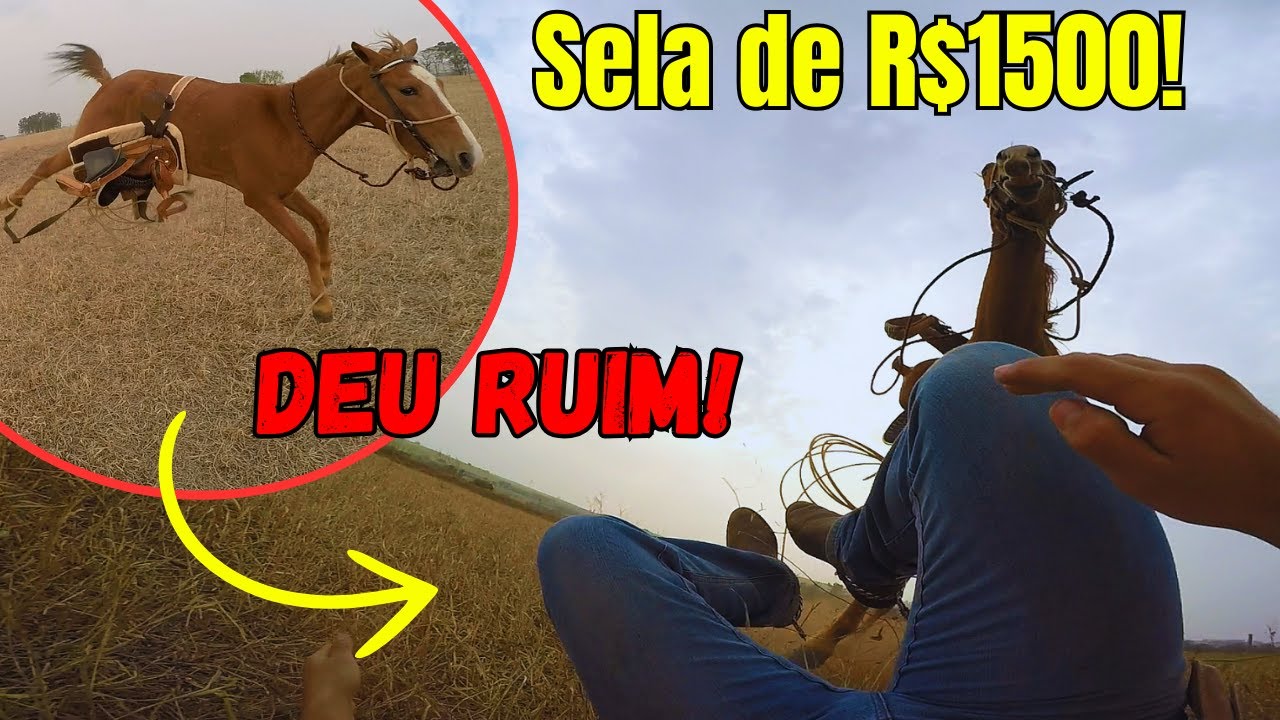 Primeiro Teste com a Sela de R$1500 – Deu ruim!!