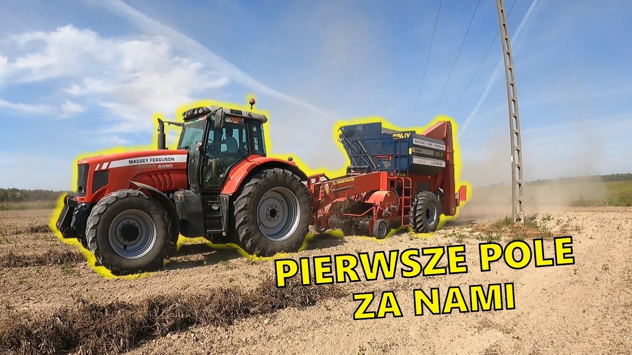 PIERWSZE MŁÓCENIE FASOLI 2021- DOUBLE MASTER IV |AgroLovers AmAgro