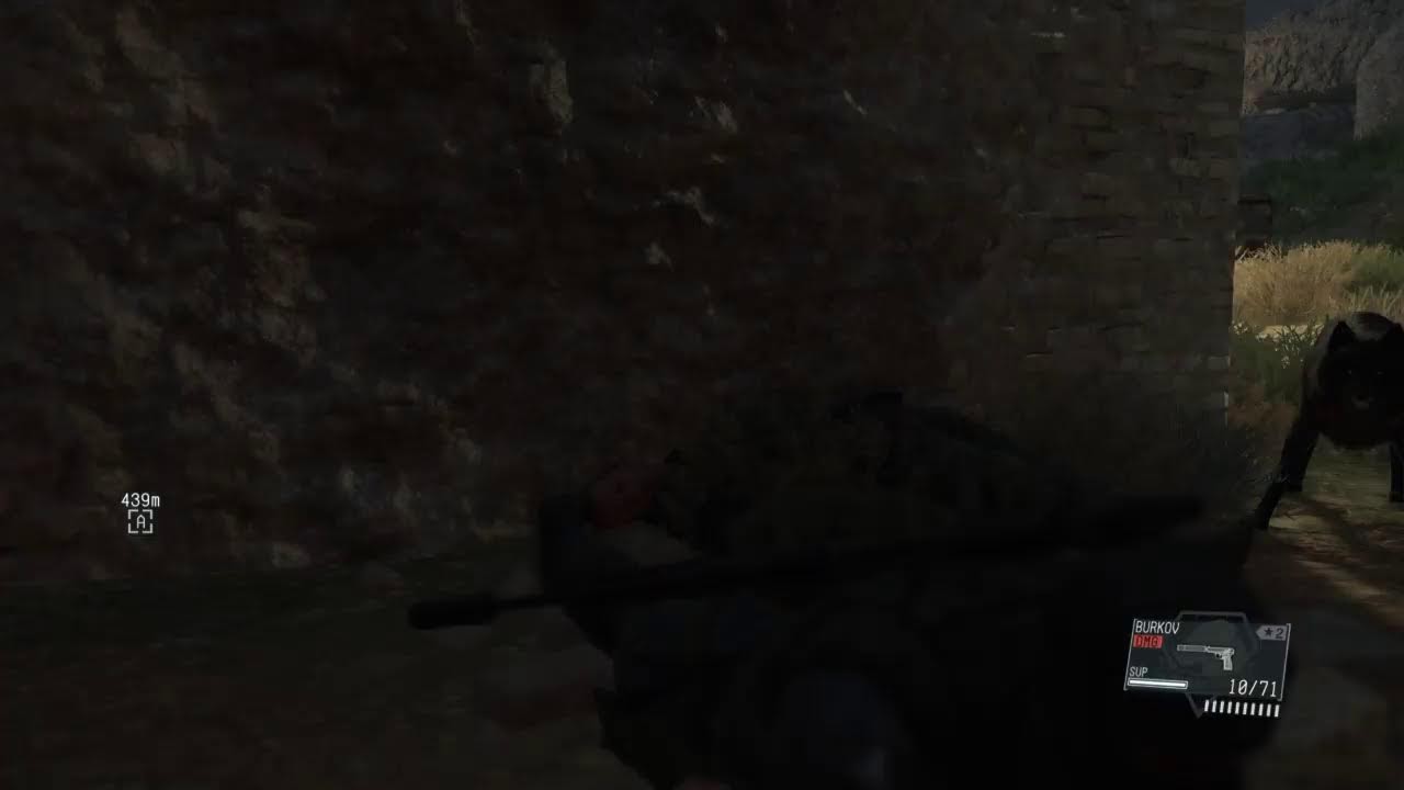 Lon green snake (DONT WATCH)