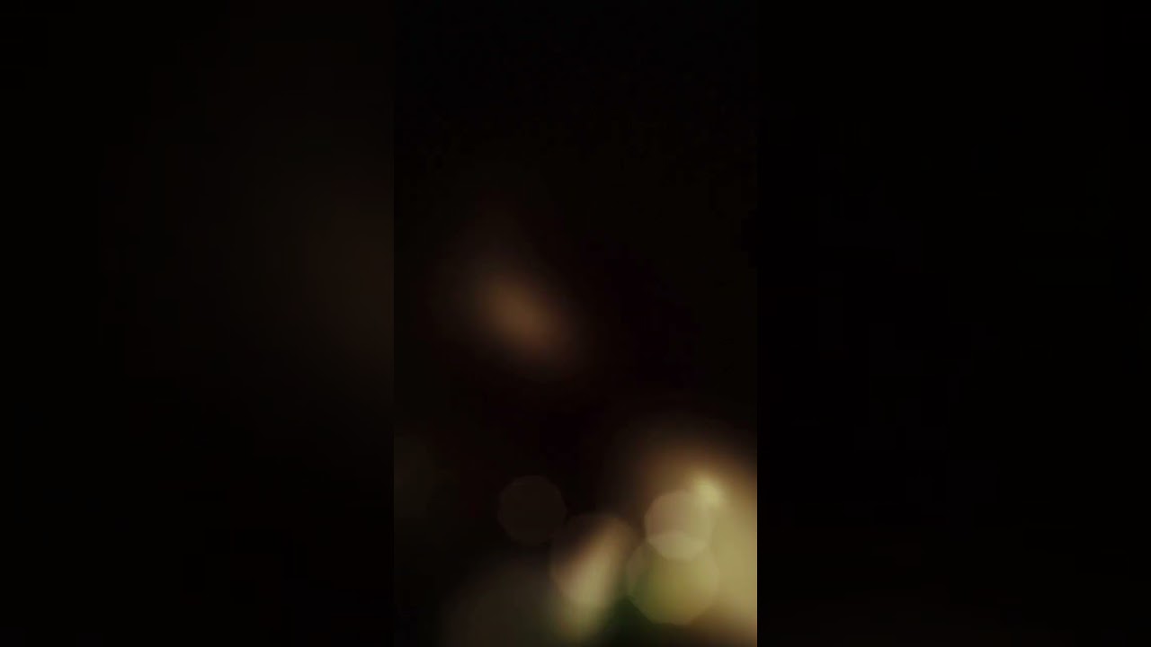 V1V1D bars
