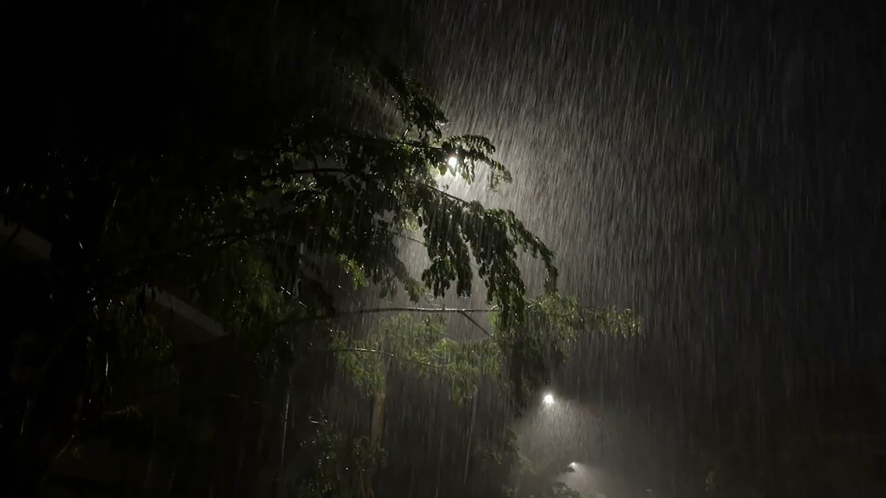 Heavy Rain Sounds for Deep Sleep - Night Rain on Tree under a Quiet Street Lamp