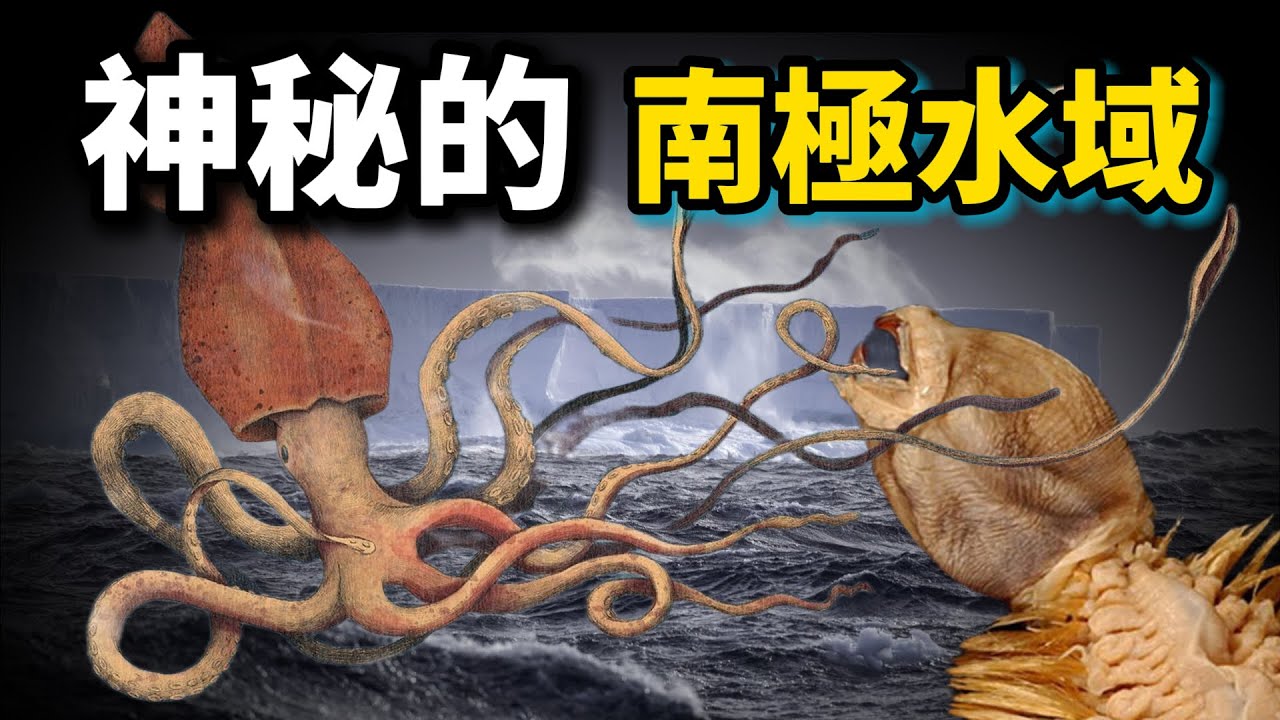 神秘的南極水域：極度危險！怪物縱橫！為什麼這裡會是世界上最不可思議之地？