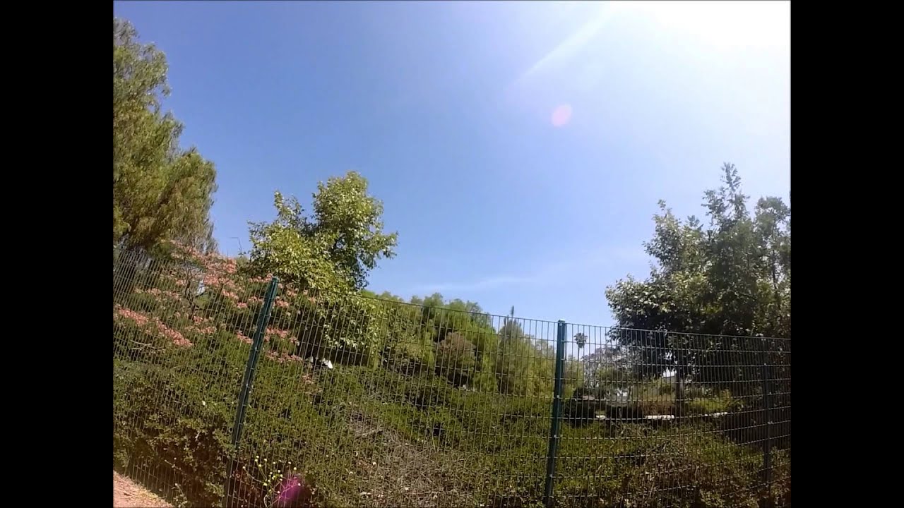 free flight discus launch gliderl chase in a thermal