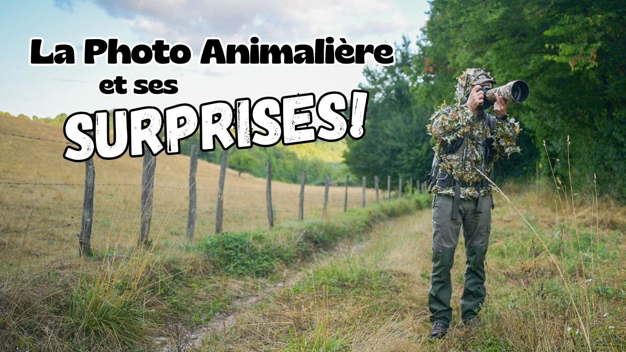 Des rencontres inhabituelles ce matin ! Photo Animalière