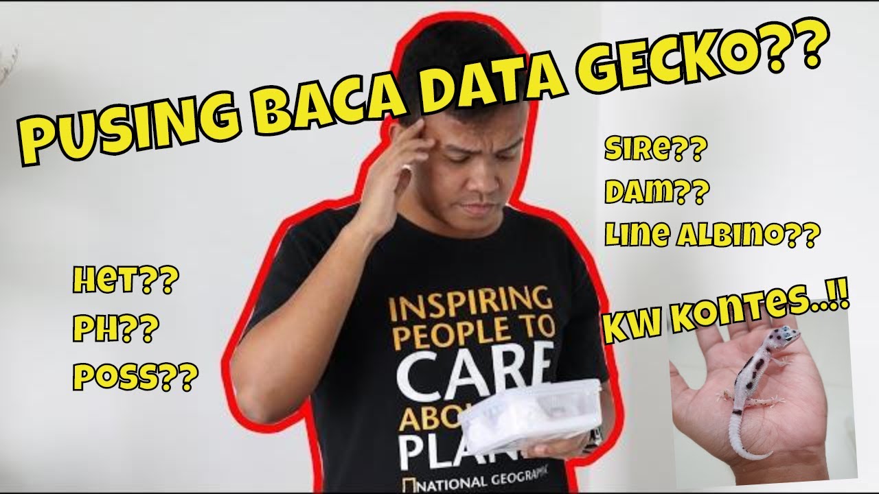 17 ISTILAH DAN SINGKATAN UMUM JUAL, BELI, LELANG GECKO DI INDONESIA