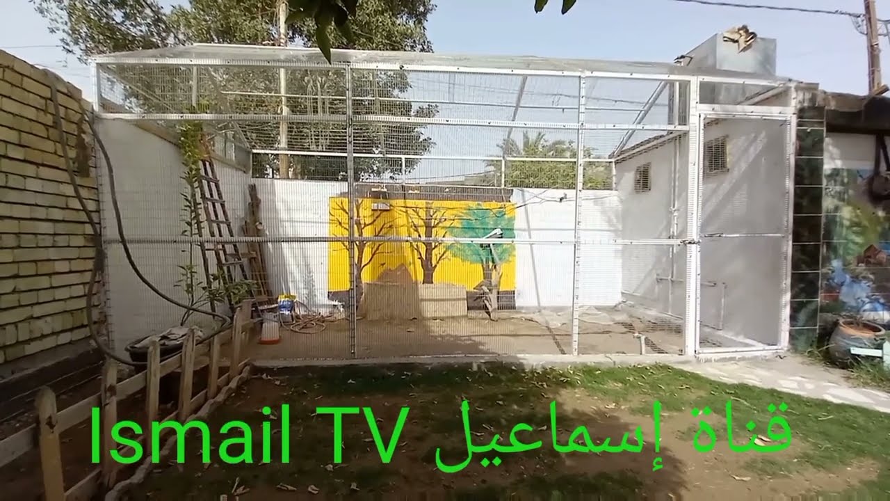 إنشاء محمية طيور زينة بالتفصيل من الاف الى الياء 🦜🦚🕊🐔قناة إسماعيل  TV 📺