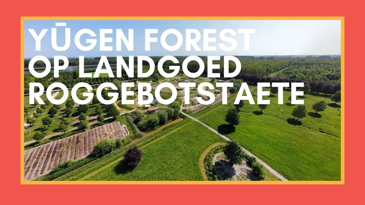 Eten uit het Bos - Yūgen Forest op Landgoed Roggebotstaete (lente 2023)