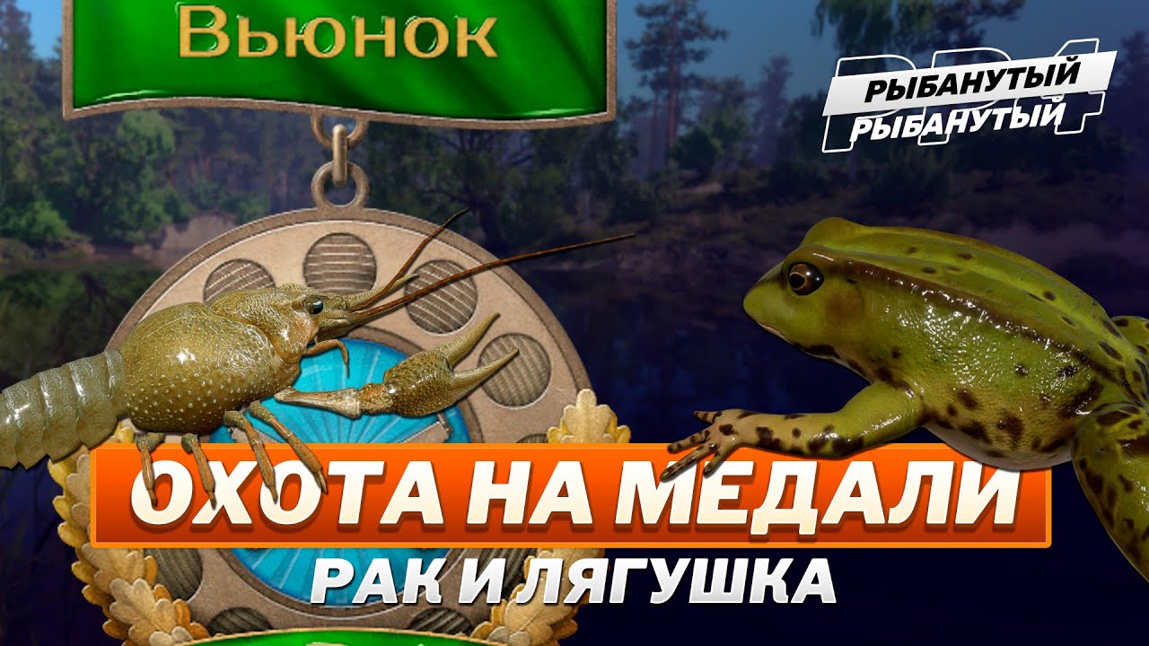 ЗАКРЫВАЮ ВОДОЁМЫ ● ВЬЮНОК и ОСТРОГ ● Русская Рыбалка 4