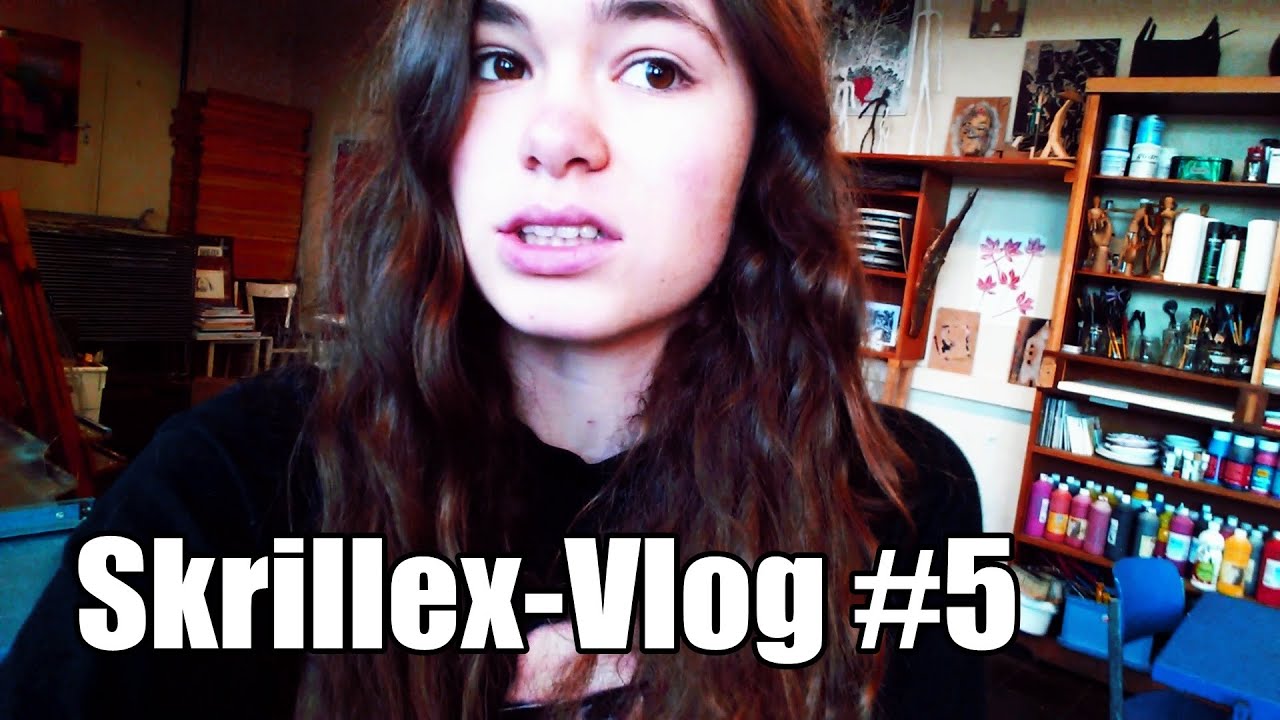 The Biography Video [Skrillex-Vlog #5]