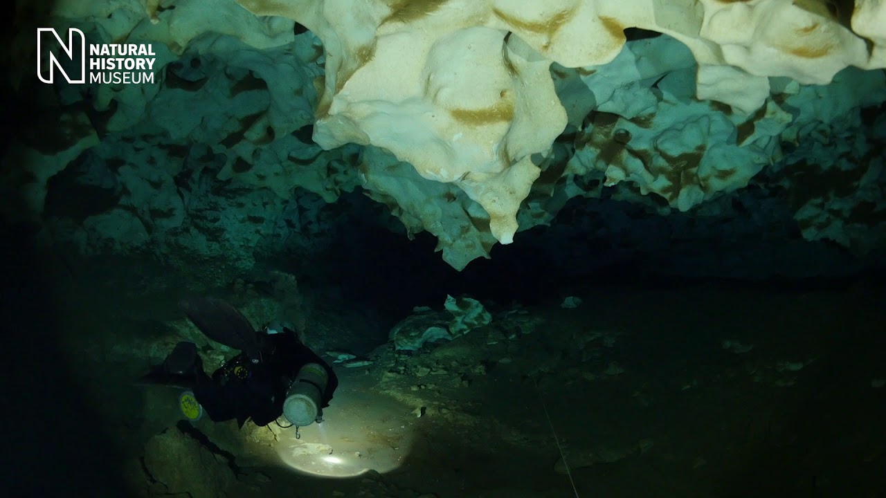 Diving in the dark: exploring underground realms | Natural History Museum