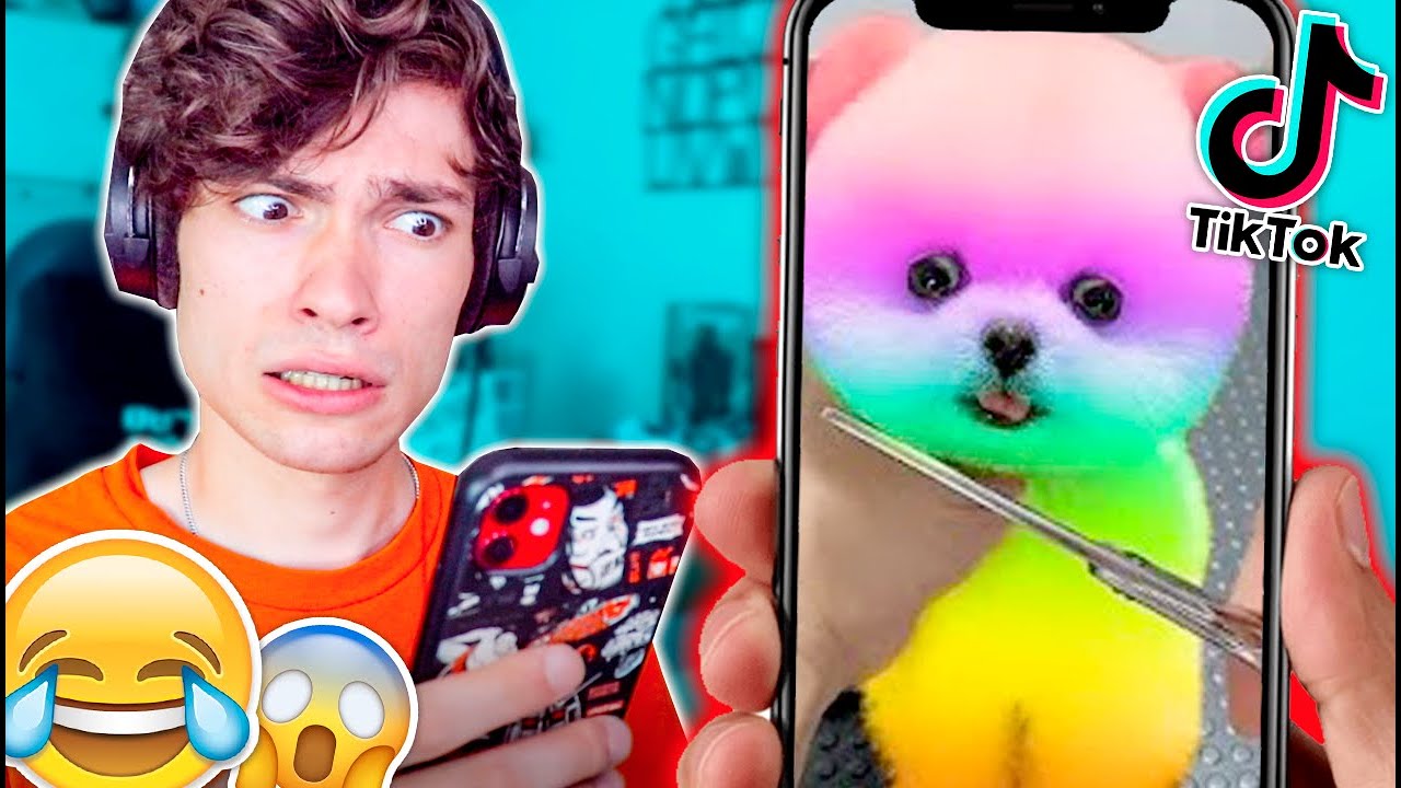 JE REGARDE LES MEILLEURS TIKTOK ! (Malaise ou pas ?)