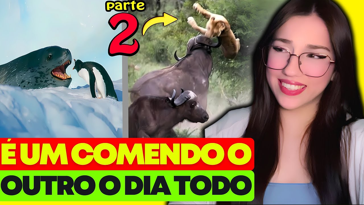 REACT | QUANDO OS ANIMAIS ESCOLHEM O OPONENTE ERRADO 😂 #2 - FALA DE TUDO