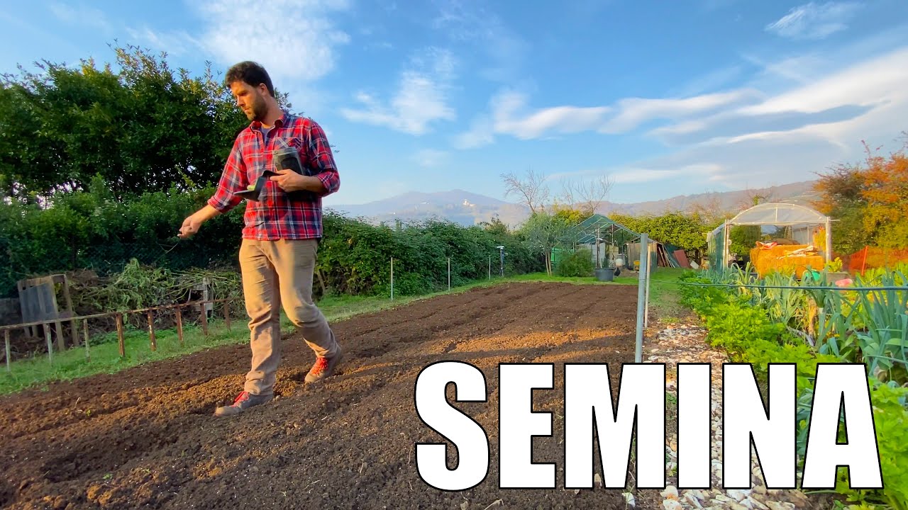 SOVESCIO nell'ORTO: cosa ho seminato