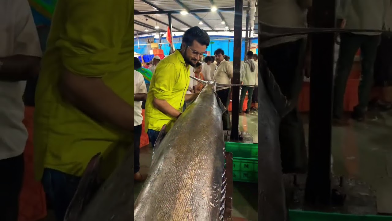 very big Fish | mumbai fish market | biggest fish market | #fishmarket #biggestfish #shorts