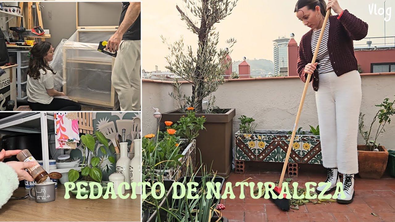 CONSTRUYENDO un INVERNADERO en la terraza: ( Día # 2) Días de lluvia en la gran ciudad.
