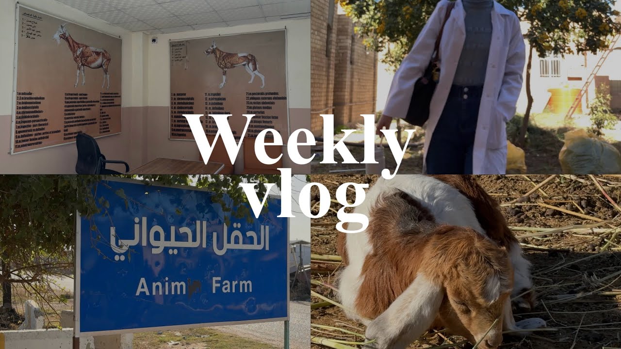 يوميات طالبة طب بيطري 🐾| weekly vlog
