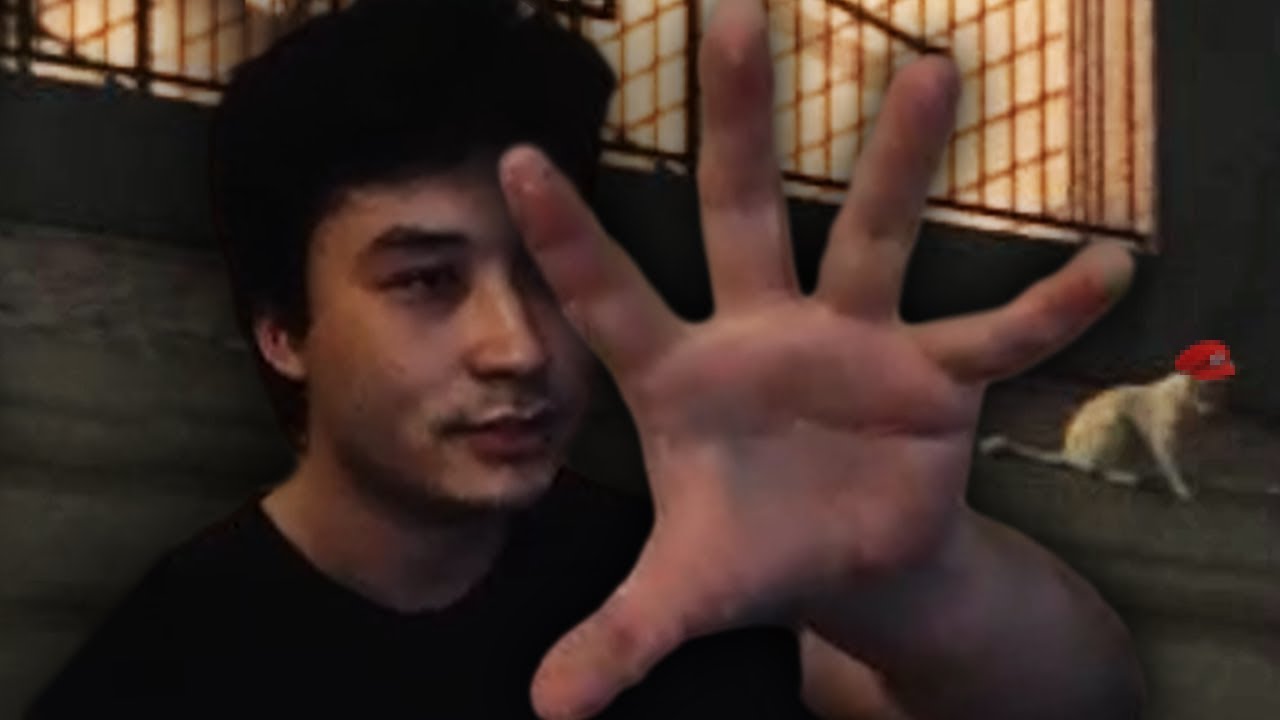 POV: You're a cat I'm going to squeeze