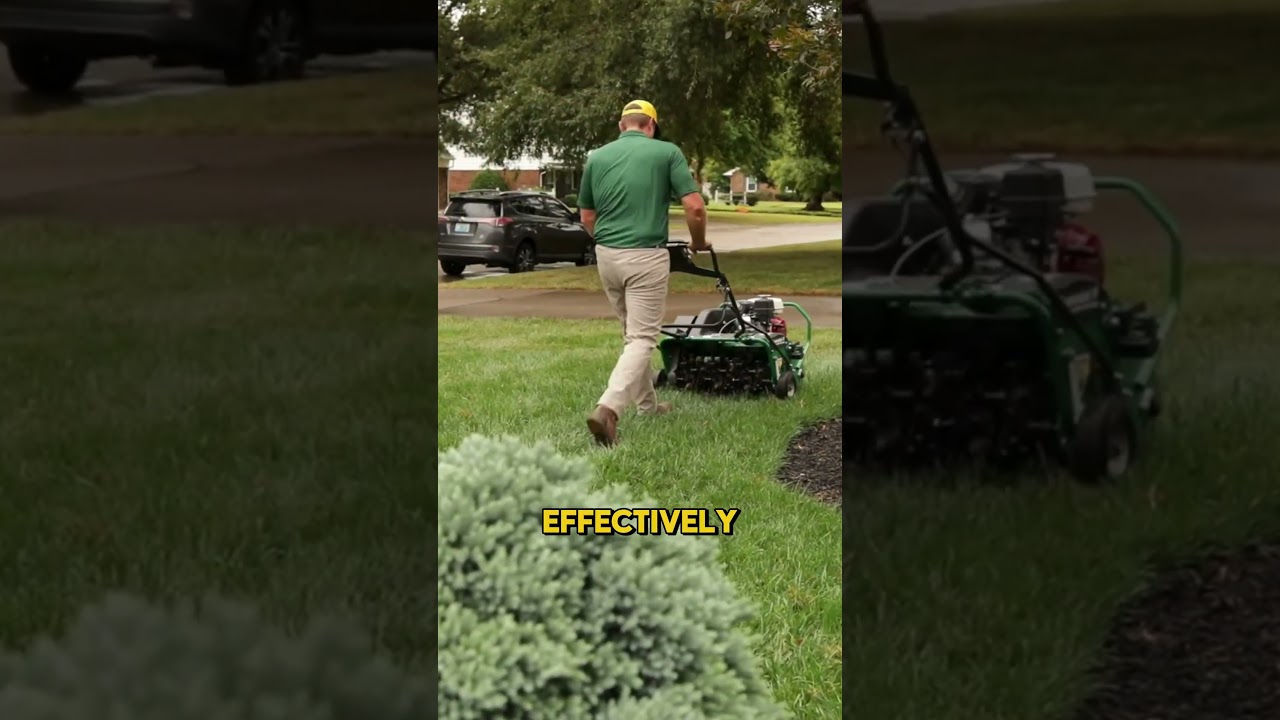 Aeration and Fescue Overseeding