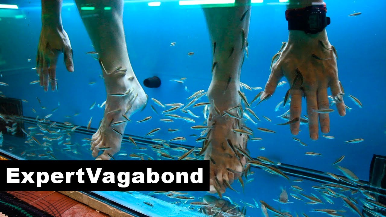 FISH PEDICURE - Chiang Mai, Thailand