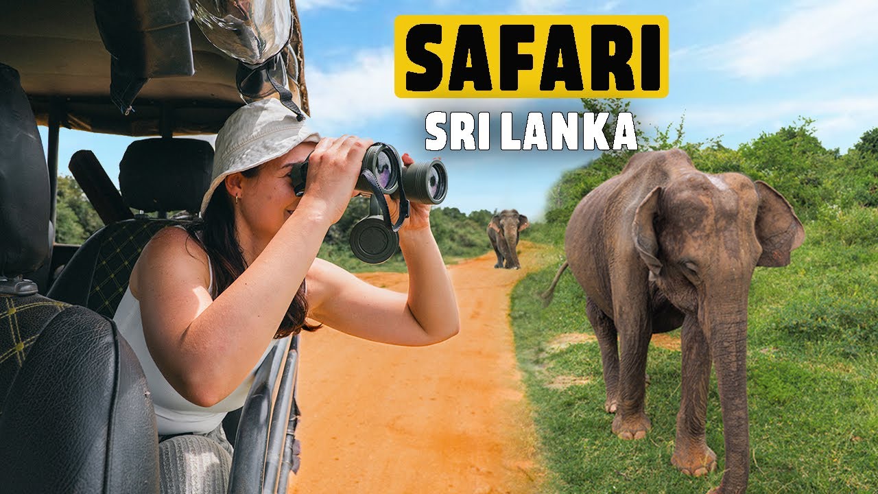 SAFARI in Sri Lanka - Elefanti, pioggia, pranzo e molto altro!