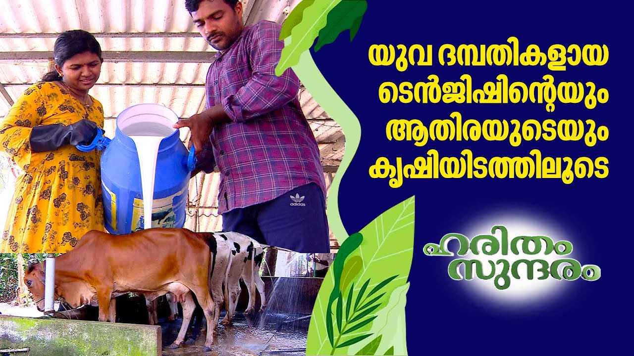 A journey through the beautiful farm of young couple Tenjish and Athira | Haritham Sundaram 375