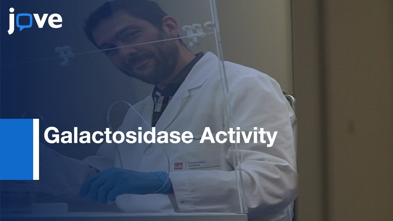 Gene Expression Tracing by detecting Galactosidase Activity | Protocol Preview