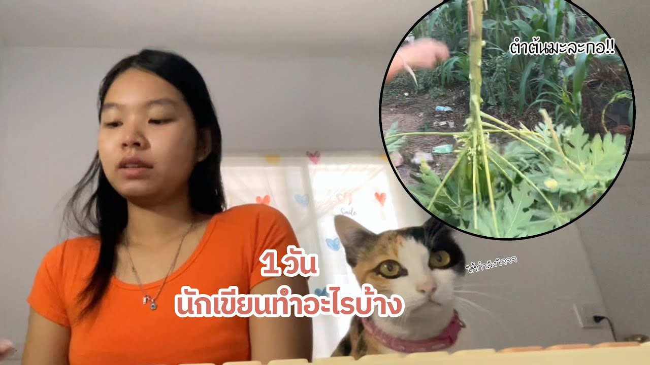 ชีวิตนักเขียน หนึ่งวันทำอะไรบ้าง (ชิวมากกกกก)