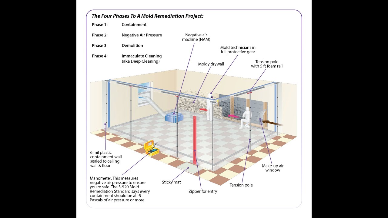 Revised - Valor 4 Phase Diagram of Proper Mold Remediation