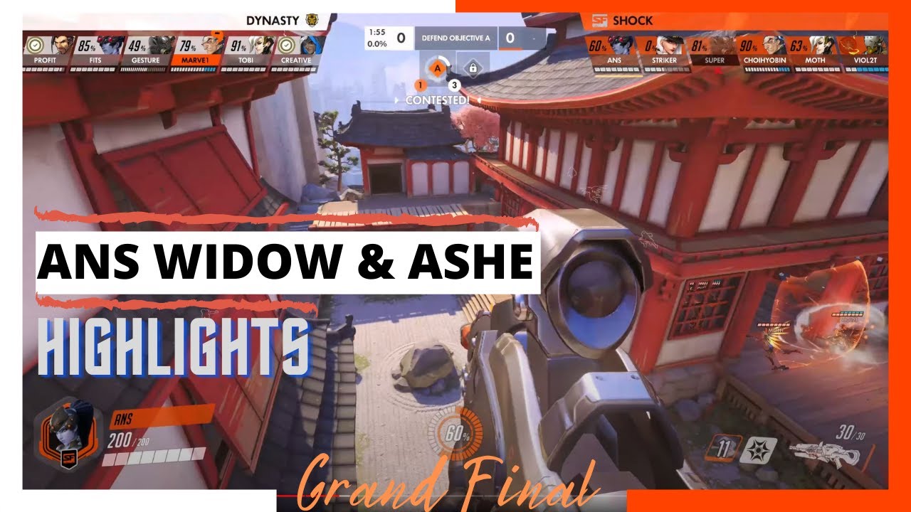 ANS POV Grand Final Highlights | San Francisco Shock vs Seoul Dynasty | Widowmaker & Ashe