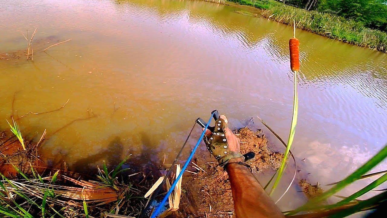 💥QUANDO CHEGO EM UM LUGAR NOVO 😁😁 E FRITO GARANTIDO SLINGSHOT FISHING 🇧🇷