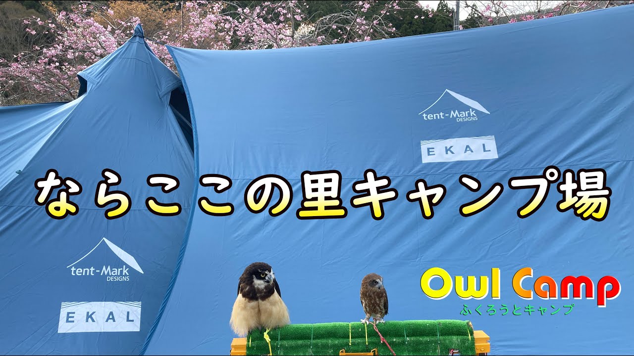 Owl Camp 〜ふくろうとキャンプ〜 #14 【ならここの里キャンプ場】