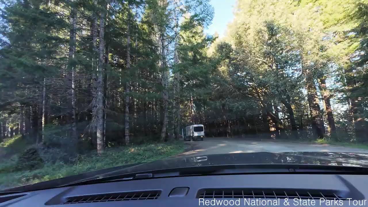 Redwood National & State Parks Tour hyperlapse (2025.05.05)
