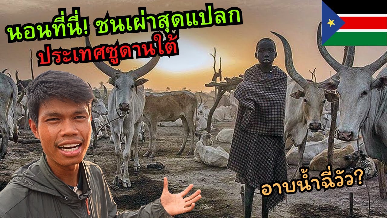 🇸🇸  ชนเผ่าซูดานใต้ อาบน้ำจากฉี่วัว? I South Sudan